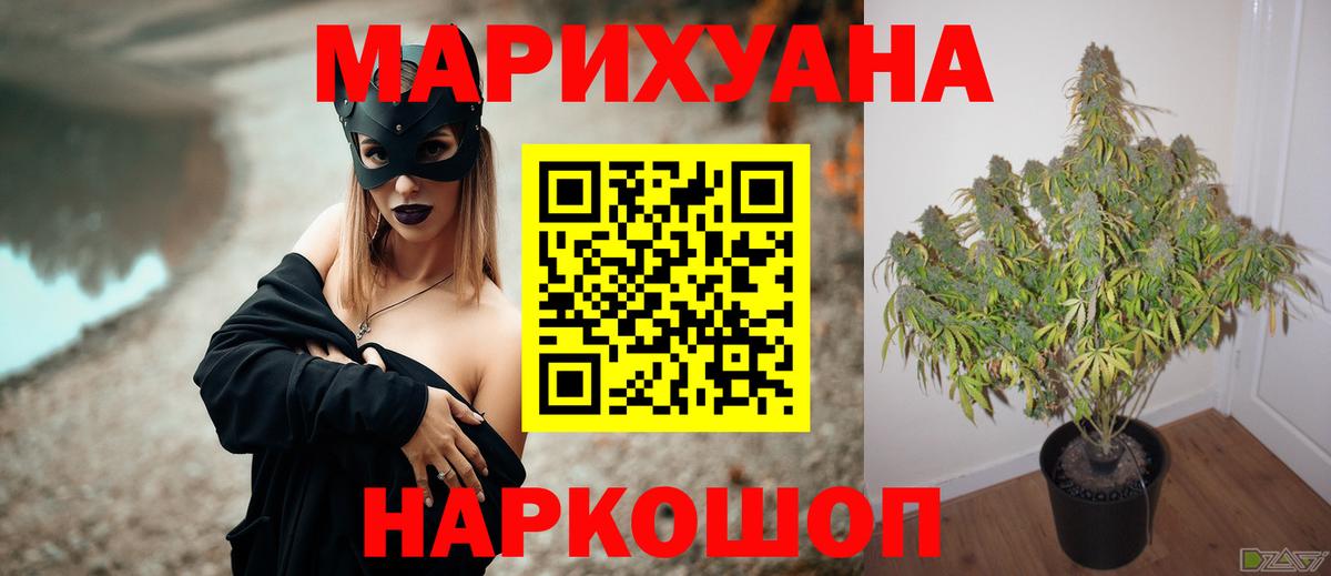 Шишки марихуана OG Kush Самара